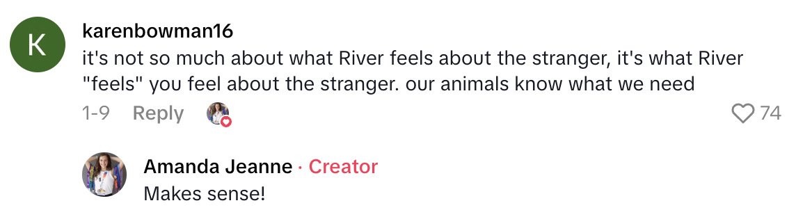 Screenshot 2025 07 02 at 10.19.00 AM Dog Owner Got A Weird Feeling About A Man At A Park And Her Pooch Confirmed Her Suspicions.   This man is gonna think that were leaving because of him.